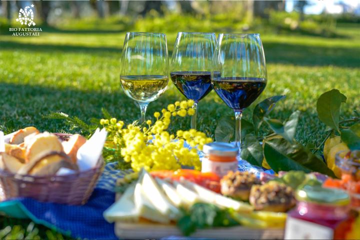 Picnic in the Vineyards