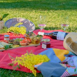 Picnic in the Vineyards