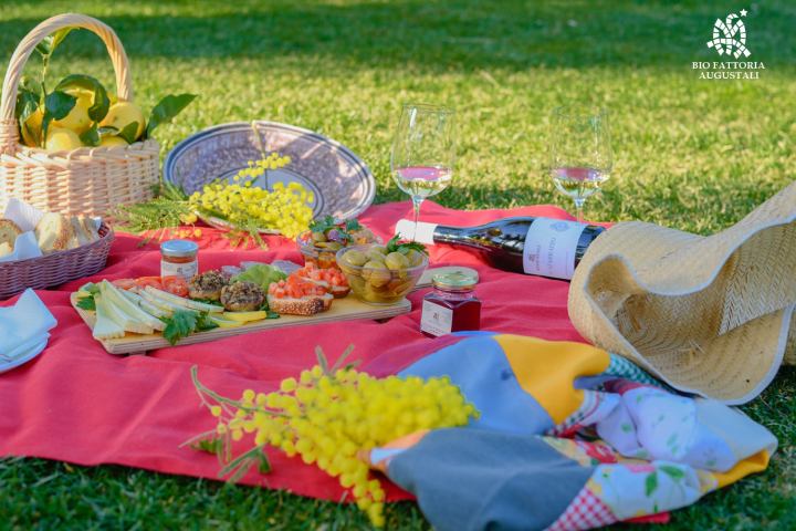 Picnic in the Vineyards
