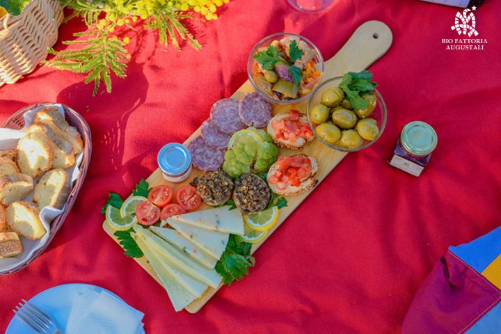 Picnic in the Vineyards