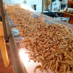 sicily farm to table tour