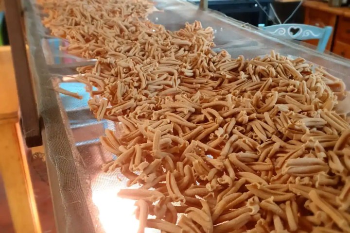 sicily farm to table tour