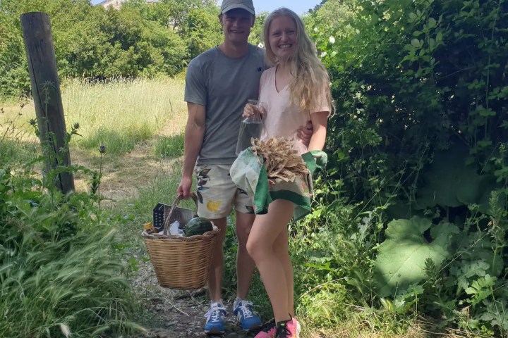 sicily farm to table tour