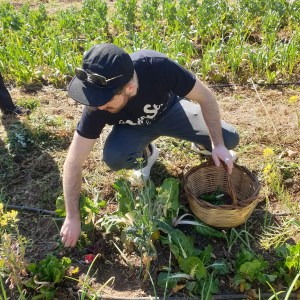 sicily farm to table tour