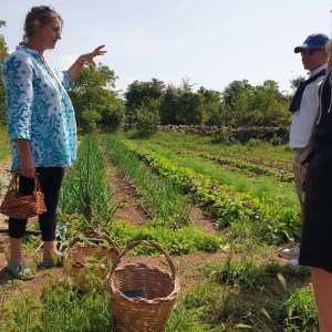 sicily farm to table tour