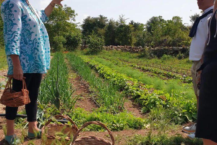 sicily farm to table tour