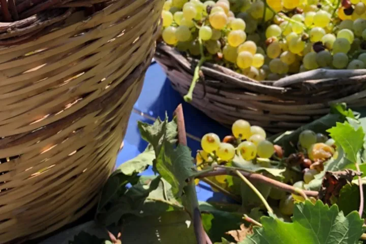 Sicily Wine tour