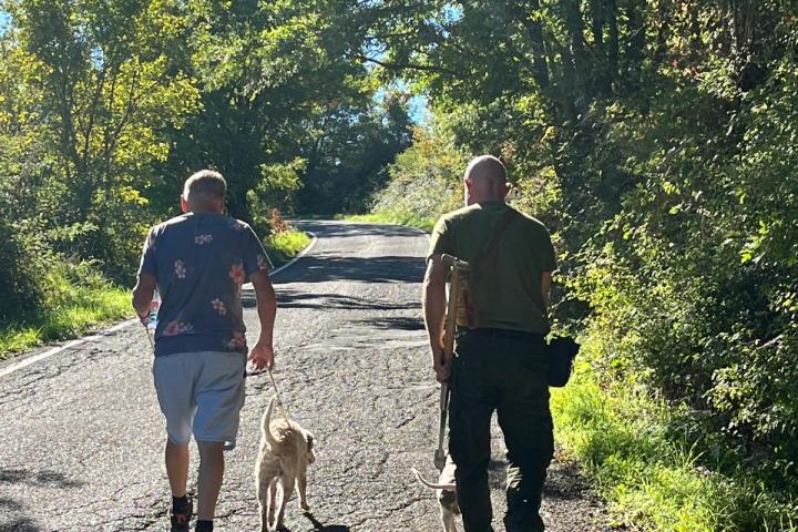 Truffle dog searching in Lazio forest