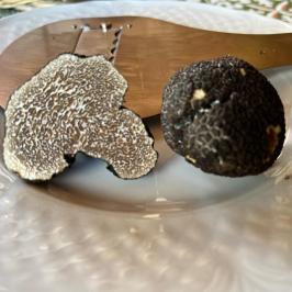 Farm lunch with fresh truffles Italy