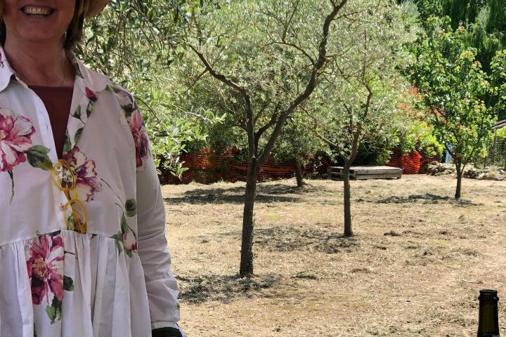 Olive oil tour in Umbria - Italy