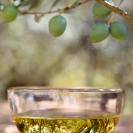 Olive oil tour in Umbria - Italy