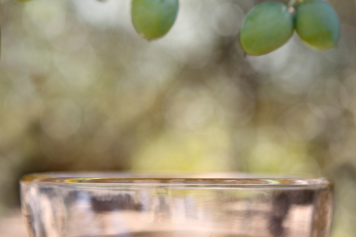 Olive oil tour in Umbria - Italy