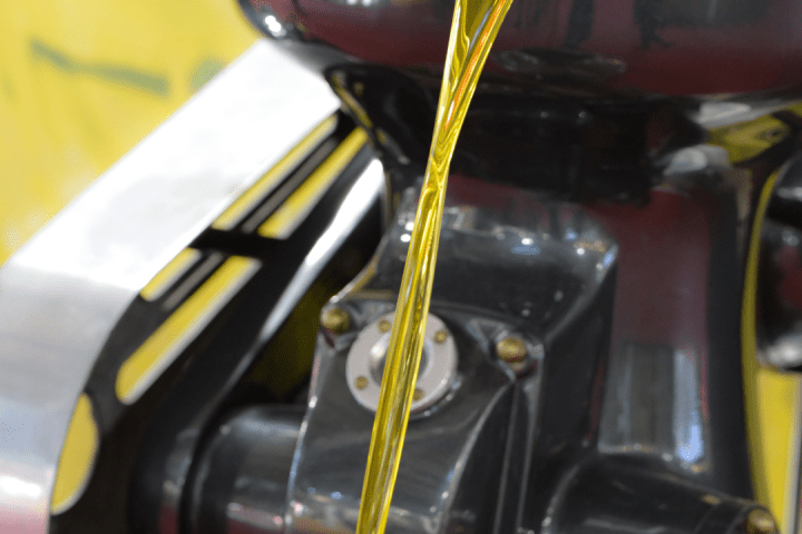 Olive oil tour in Umbria - Italy