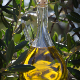 Olive oil tour in Umbria - Italy