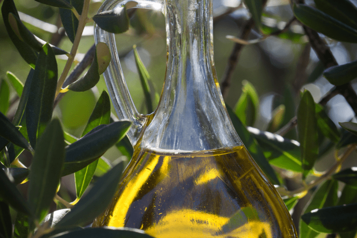 Olive oil tour in Umbria - Italy