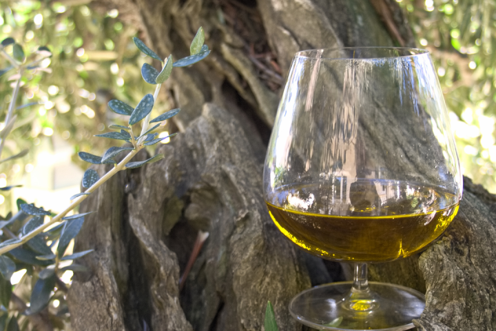 Olive oil tour in Umbria - Italy