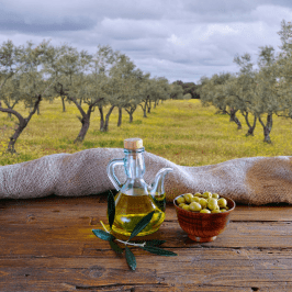 Olive oil tour in Umbria - Italy