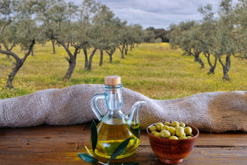 Olive oil tour in Umbria - Italy