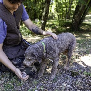 Tuscany Truffle Hunting