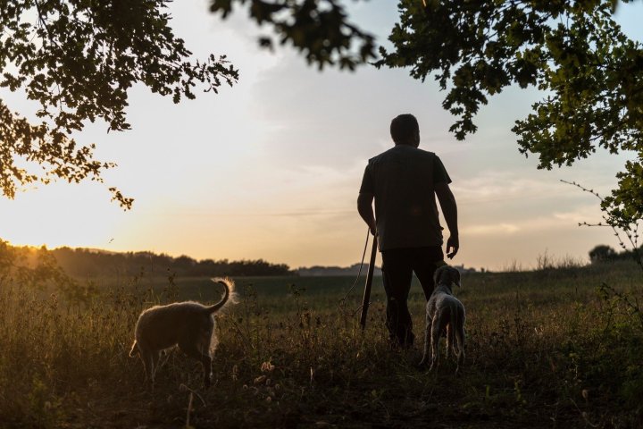 Tuscany Truffle Hunting