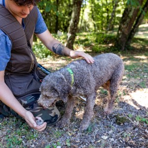 Tuscany Truffle Hunting