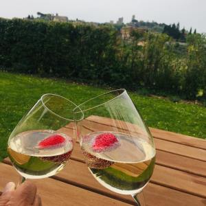 Tuscany wine tasting