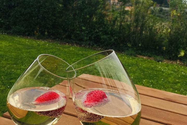 Tuscany wine tasting