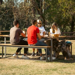 Tuscany wine tasting