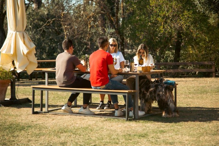 Tuscany wine tasting