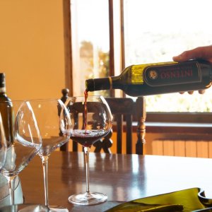 Tuscany wine tasting