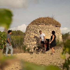 Barcelona Wine Tasting Tour