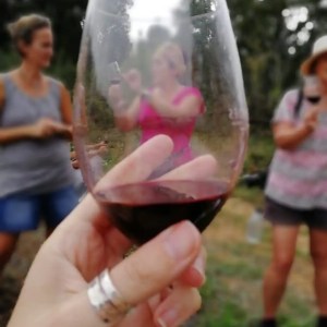 Barcelona Wine Tasting Tour