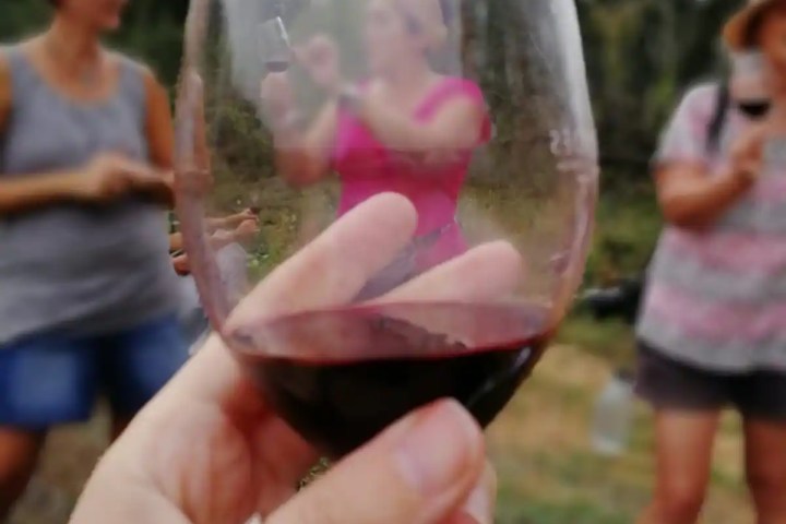 Barcelona Wine Tasting Tour