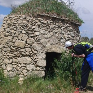 Barcelona Wine Tasting Tour