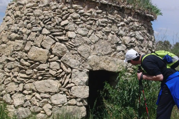 Barcelona Wine Tasting Tour