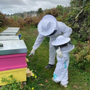 Beekeeping and honey tour in Spain