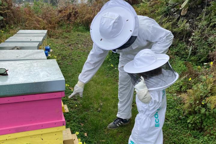 Beekeeping and honey tour in Spain