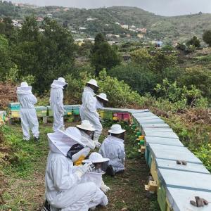 Beekeeping and honey tour in Spain