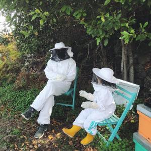 Beekeeping and honey tour in Spain