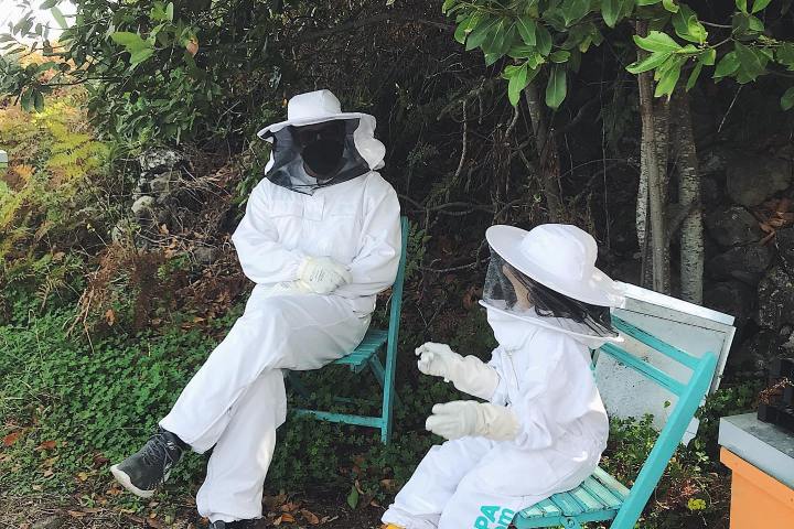 Beekeeping and honey tour in Spain