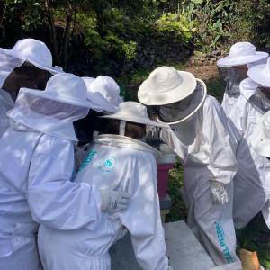 Beekeeping and honey tour in Spain