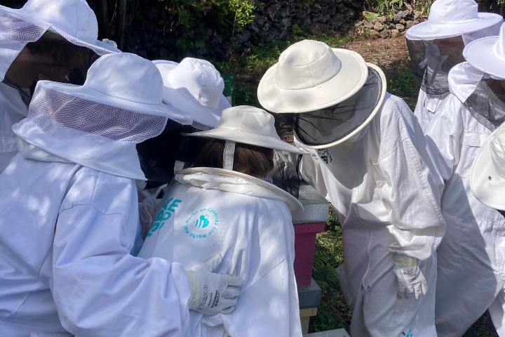 Beekeeping and honey tour in Spain