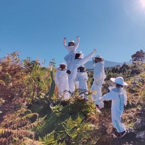 Beekeeping and honey tour in Spain