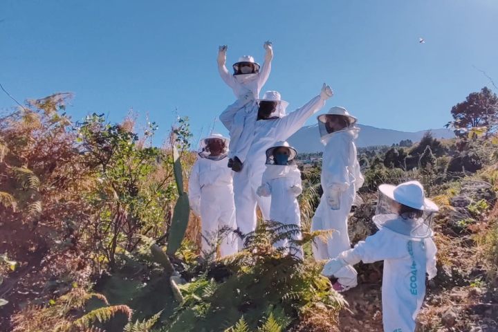 Beekeeping and honey tour in Spain
