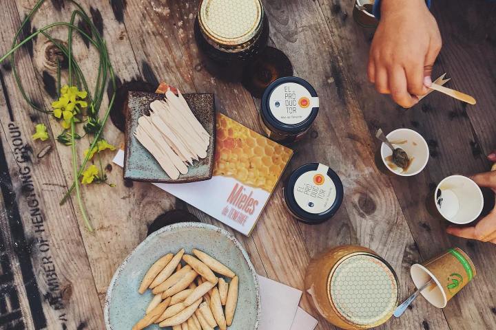Beekeeping and honey tour in Spain