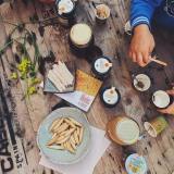 Beekeeping and honey tour in Spain