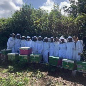 Beekeeping and honey tour in Spain