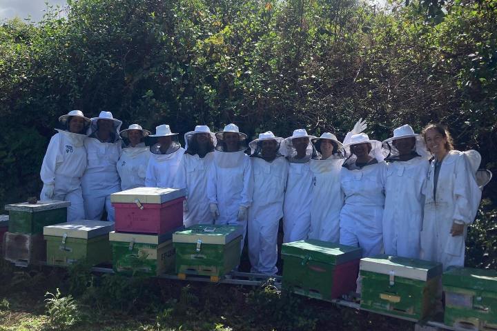 Beekeeping and honey tour in Spain