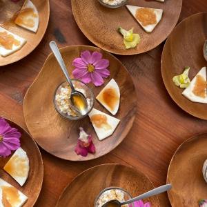 Beekeeping and honey tour in Spain