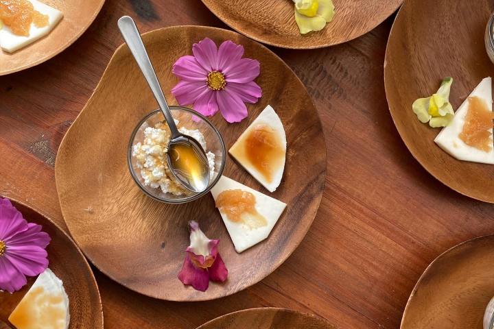 Beekeeping and honey tour in Spain